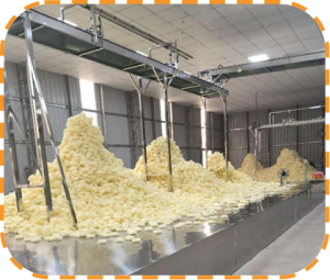 Supply Ability and Quality Assurance